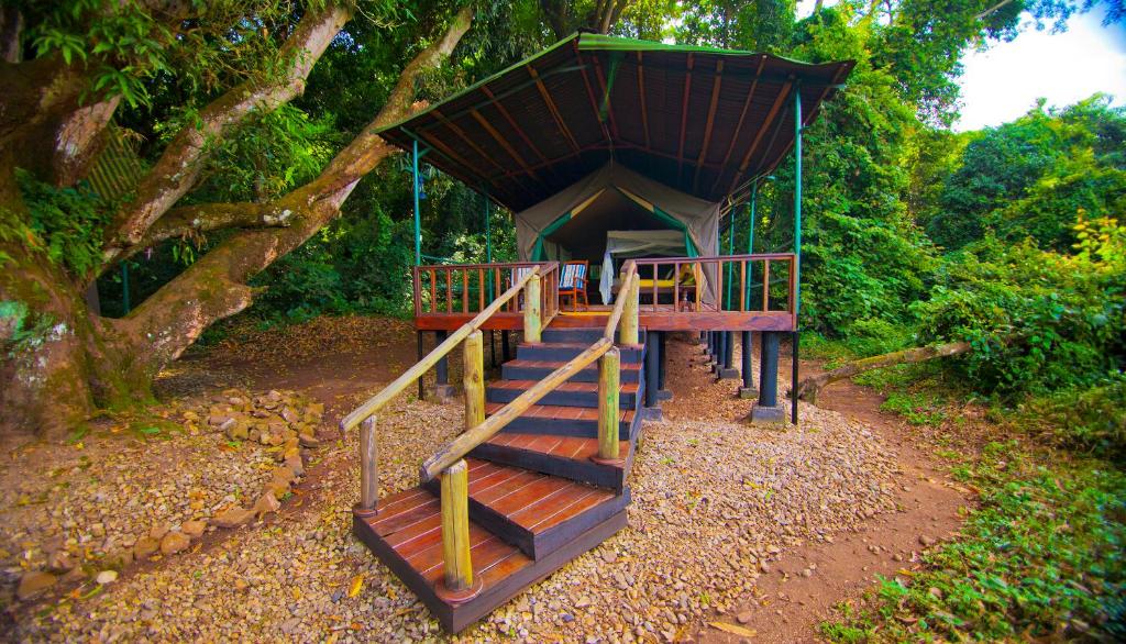 Greystoke Mahale Lodge