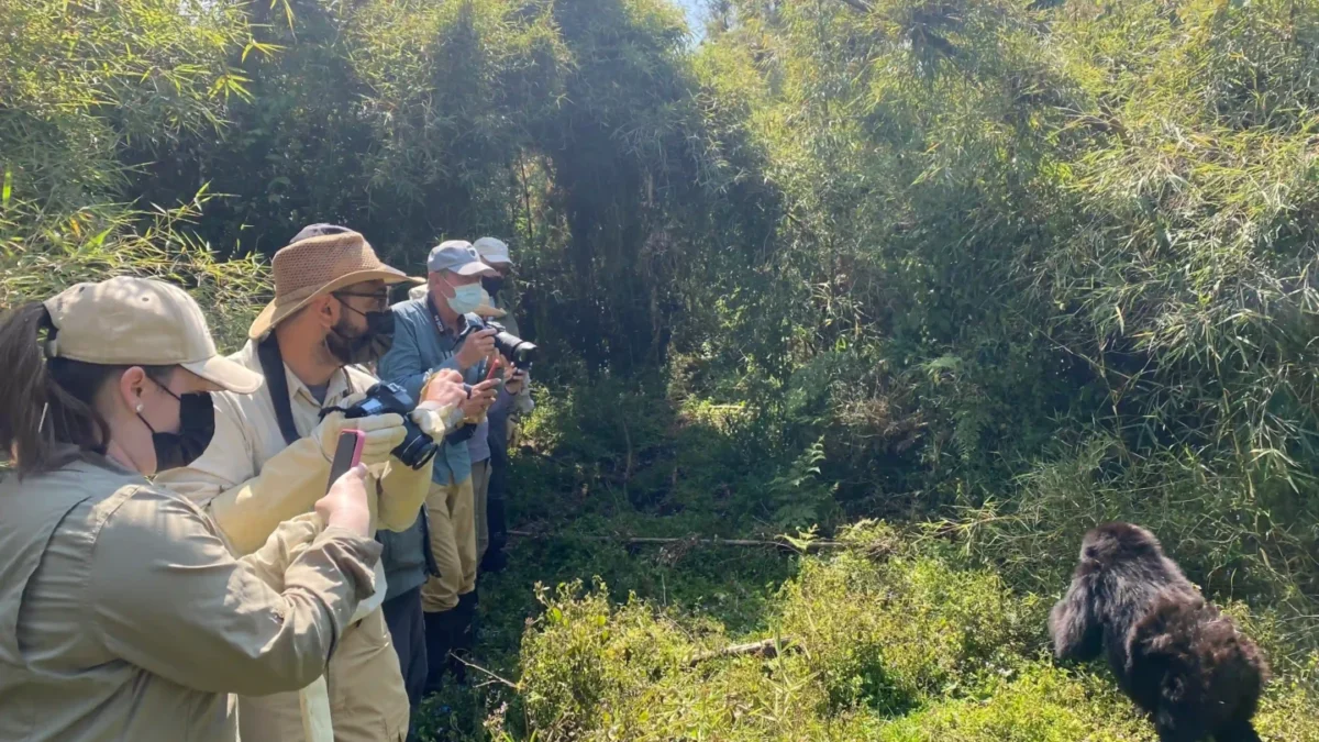 rwanda-wildlife-safaris-beyond-gorilla-trekking