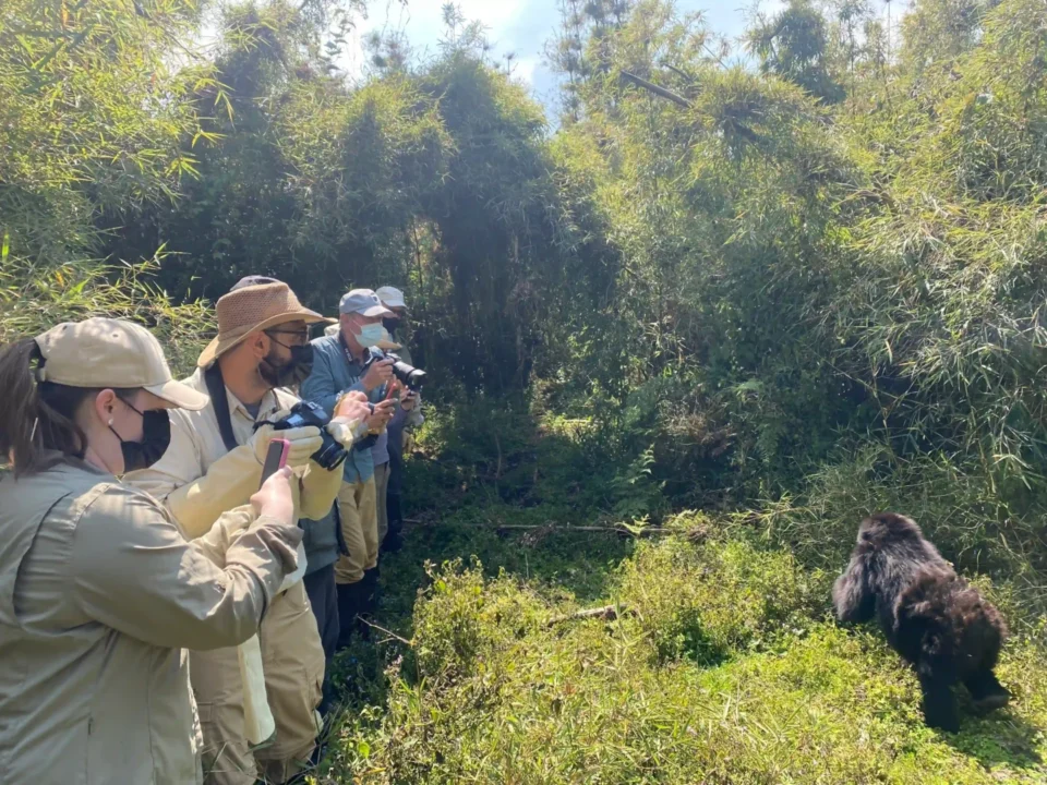 rwanda-wildlife-safaris-beyond-gorilla-trekking